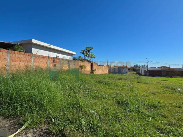 #1162 - Terreno para Venda em Monte Alto - SP - 3