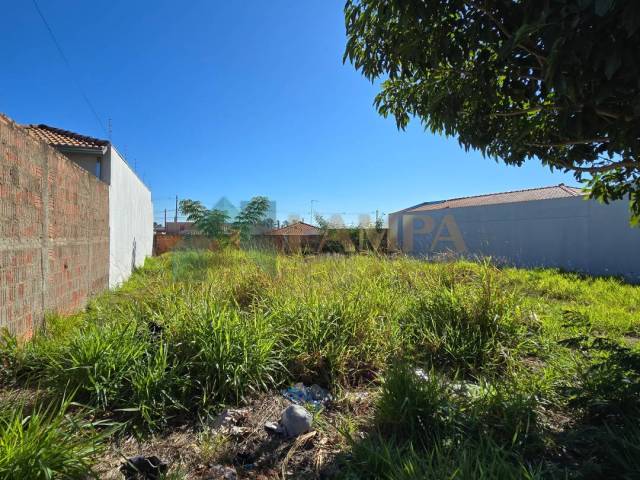 Terreno para Venda em Monte Alto - 2