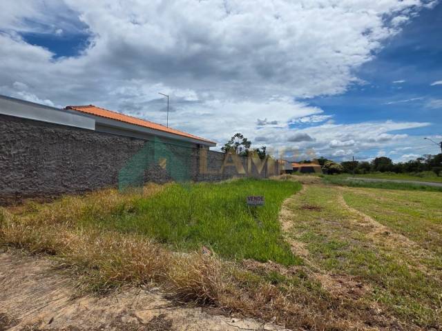 #1174 - Terreno para Venda em Monte Alto - SP - 2