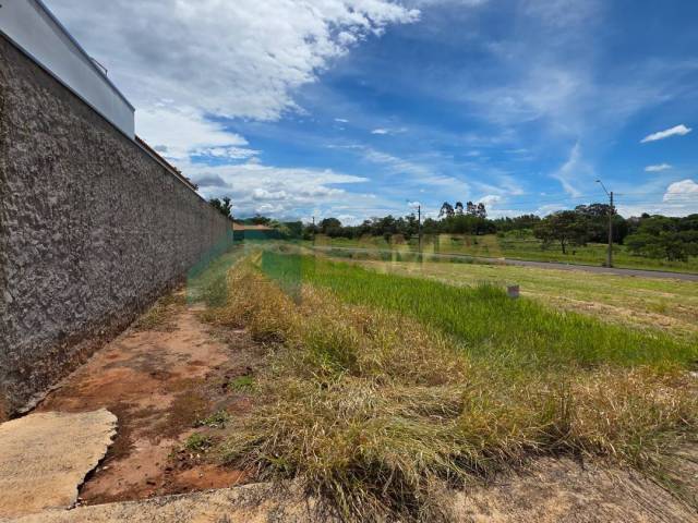 #1174 - Terreno para Venda em Monte Alto - SP - 3