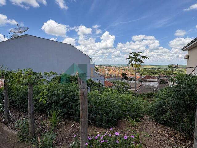 Área para Venda em Monte Alto - 3