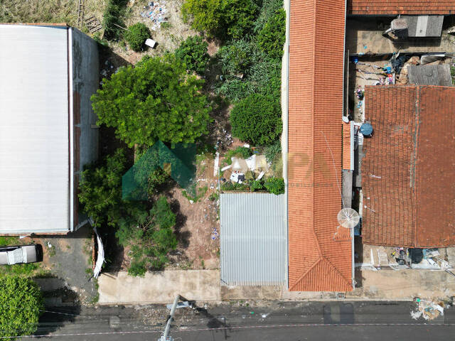 Terreno para Venda em Monte Alto - 2