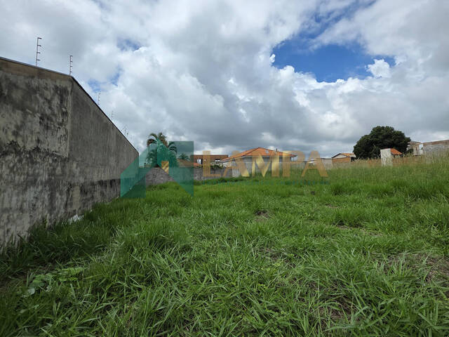 Terreno para Venda em Monte Alto - 5