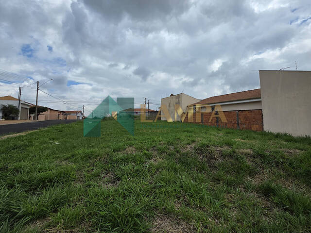 Terreno para Venda em Monte Alto - 5