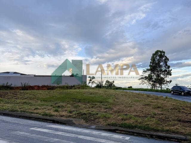 Área para Venda em Monte Alto - 3