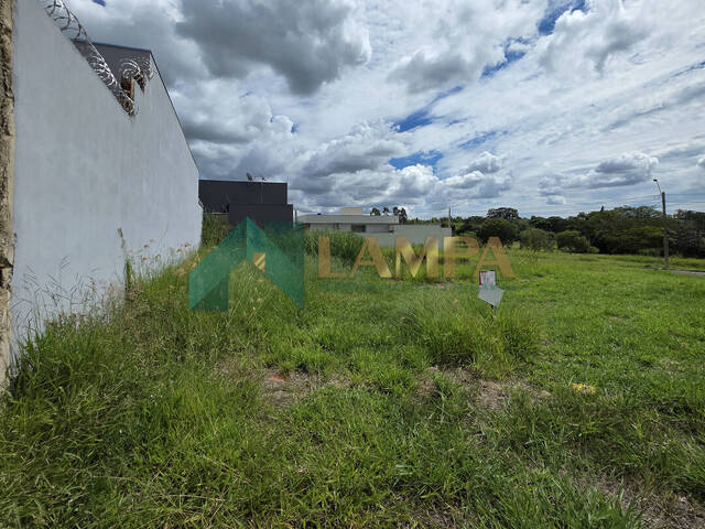 Terreno para Venda em Monte Alto - 4