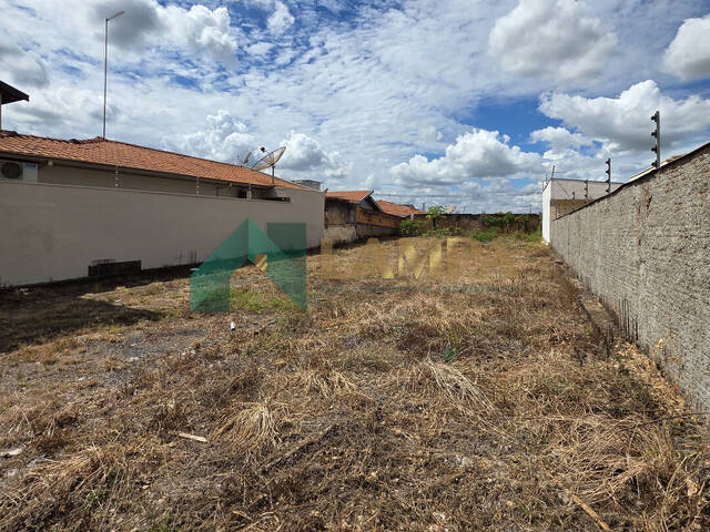 Terreno para Venda em Monte Alto - 4