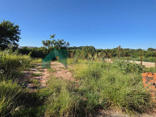 #1231 - Terreno para Venda em Monte Alto - SP