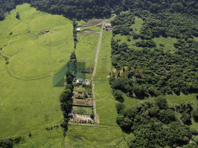 #717 - Chácara para Venda em Monte Alto - SP - 1