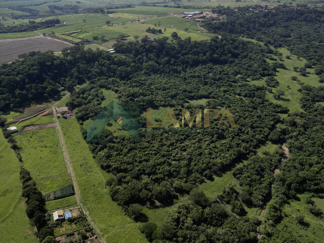 Chácara para Venda em Monte Alto - 4