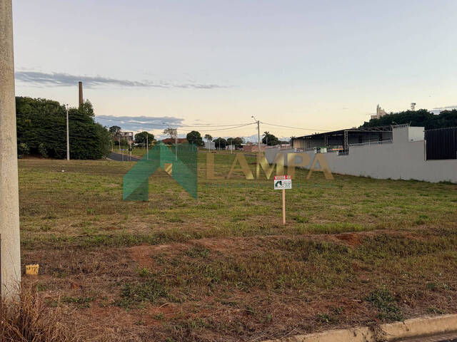 Terreno para Venda em Monte Alto - 2