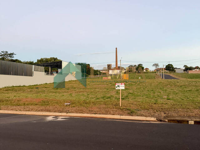 Terreno para Venda em Monte Alto - 2