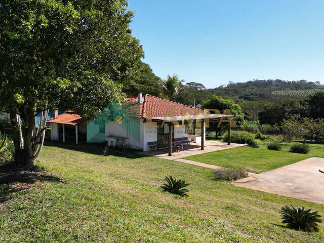 #1304 - Sítio para Venda em Monte Alto - SP - 3