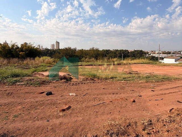 #1318 - Terreno para Venda em Monte Alto - SP - 2