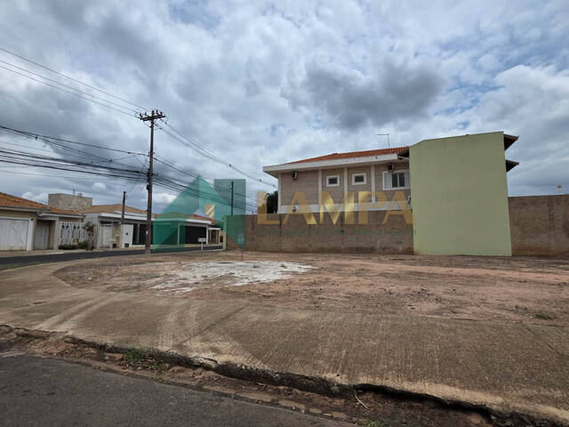 #1319 - Terreno para Venda em Monte Alto - SP - 3