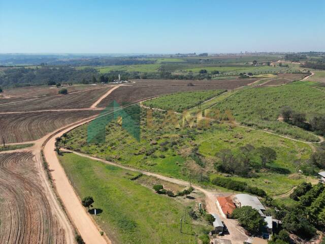 Área para Venda em Monte Alto - 4
