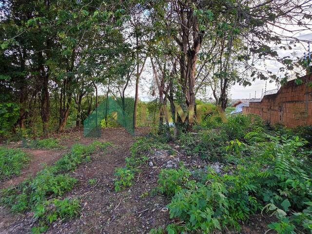 #1330 - Terreno para Venda em Monte Alto - SP - 3