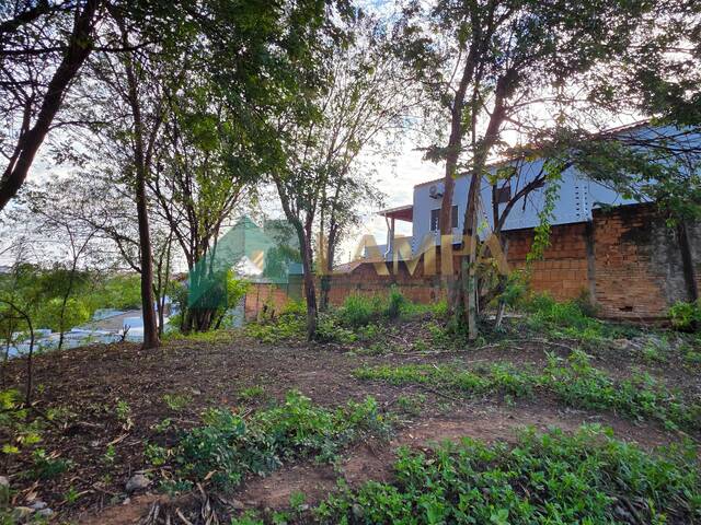 Terreno para Venda em Monte Alto - 4